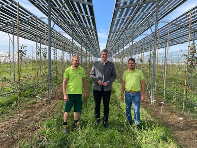 Der Betriebsleiter des Lehr- und Beispielsbetriebs für Obstbau, Hans Göding (r.), und sein Mitarbeiter, Stefan Zehentbauer (l.), führten Bezirkstagspräsident Dr. Olaf Heinrich durch die neue Agri-PV-Anlage.